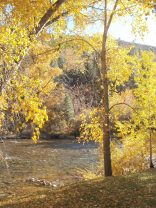 Dolores-Comm-Center-river-view-fall-LARGE1.png
